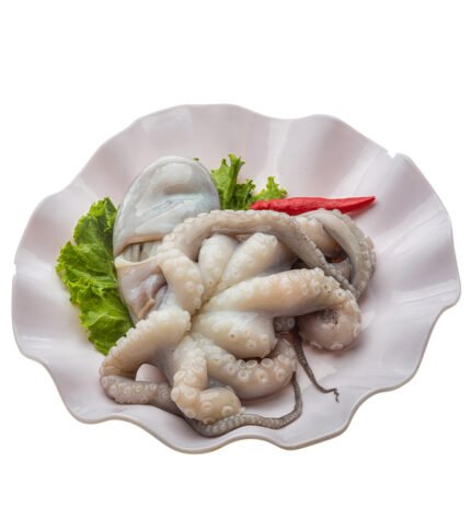 Octopus (অক্টোপাস)