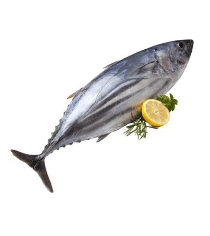 Tuna (টুনা)