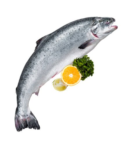 Norwegian Salmon (নরওয়েজিয়ান স্যালমন)